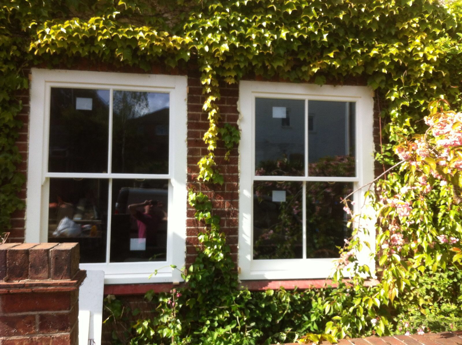 Box frame window - Tunbridge Wells 